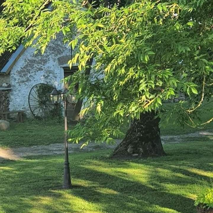 B&B Rando & Kaerdi Juures Oue Lyuganuse Extérieur photo
